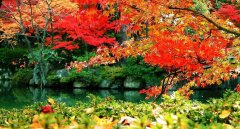 成都米亞羅自駕游租車(chē)