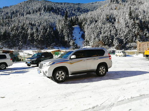 元旦租車自駕游