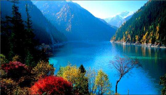 成都租車去九寨溝多少錢？