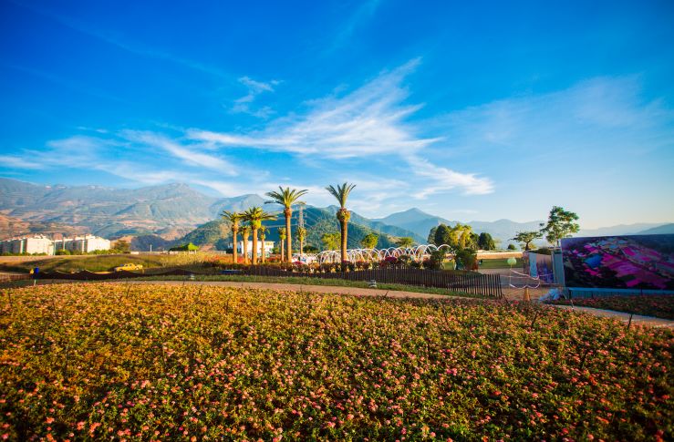 最適合冬天成都租車自駕的旅游地-陽光之城米易