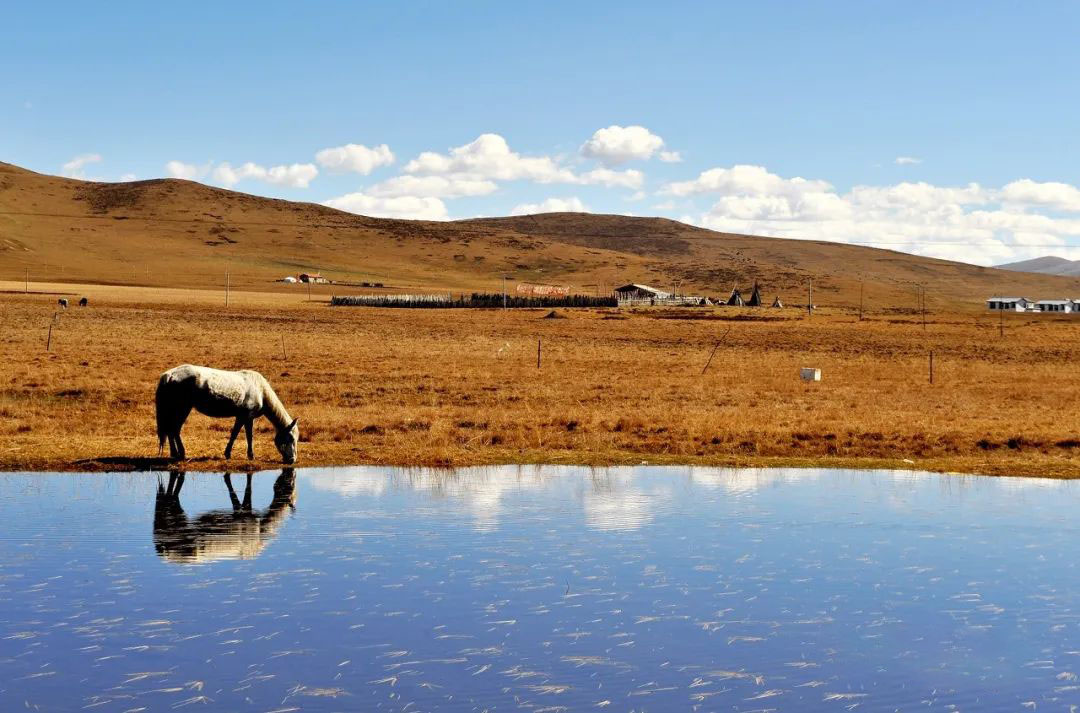 川藏線自駕游一起租車的人均消費(fèi)是多少？