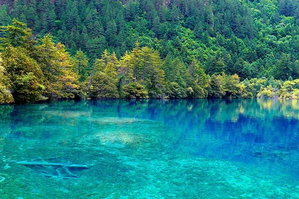 租車四天，去九寨黃龍怎么玩？
